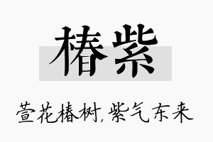 椿紫名字的寓意及含义