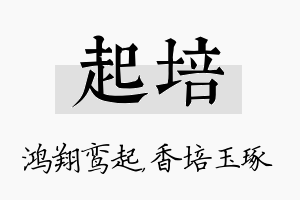 起培名字的寓意及含义