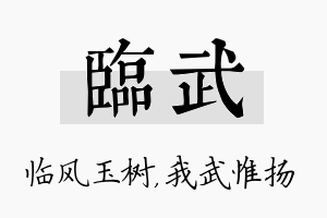 临武名字的寓意及含义