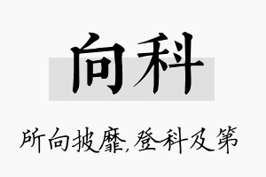 向科名字的寓意及含义