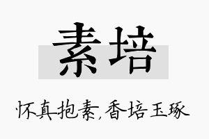 素培名字的寓意及含义