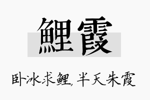 鲤霞名字的寓意及含义