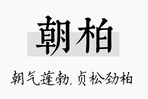 朝柏名字的寓意及含义