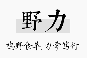 野力名字的寓意及含义