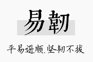 易韧名字的寓意及含义