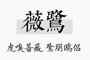 薇鹭名字的寓意及含义