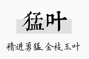 猛叶名字的寓意及含义