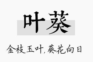 叶葵名字的寓意及含义