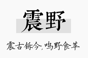 震野名字的寓意及含义