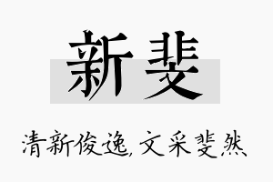 新斐名字的寓意及含义