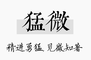 猛微名字的寓意及含义