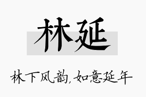 林延名字的寓意及含义