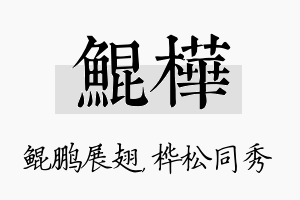 鲲桦名字的寓意及含义