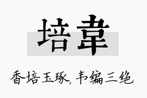 培韦名字的寓意及含义