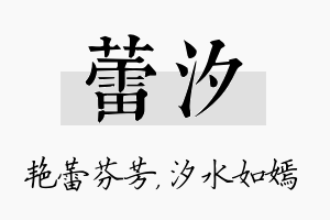 蕾汐名字的寓意及含义