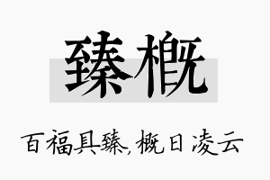 臻概名字的寓意及含义