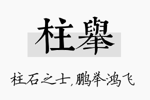 柱举名字的寓意及含义