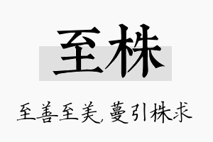 至株名字的寓意及含义