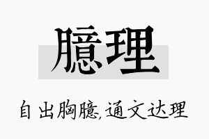 臆理名字的寓意及含义