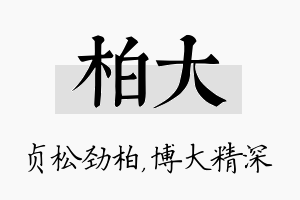 柏大名字的寓意及含义