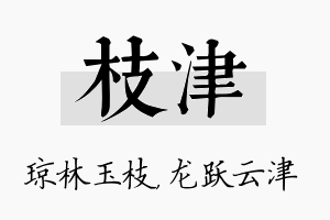 枝津名字的寓意及含义