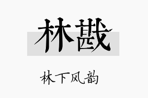 林戡名字的寓意及含义