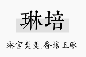 琳培名字的寓意及含义