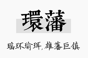 环藩名字的寓意及含义