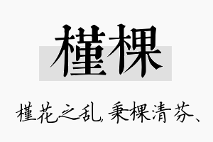 槿棵名字的寓意及含义