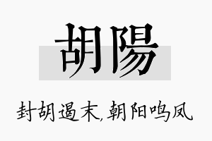 胡阳名字的寓意及含义