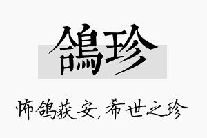 鸽珍名字的寓意及含义