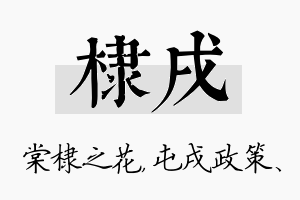 棣戌名字的寓意及含义