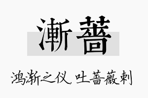 渐蔷名字的寓意及含义