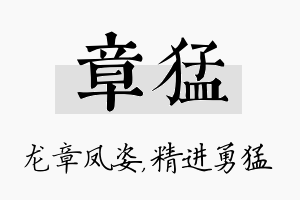 章猛名字的寓意及含义