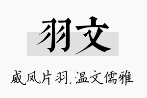 羽文名字的寓意及含义