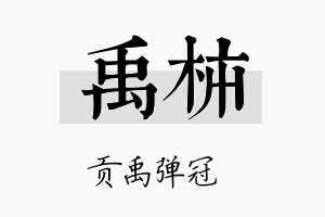 禹柿名字的寓意及含义