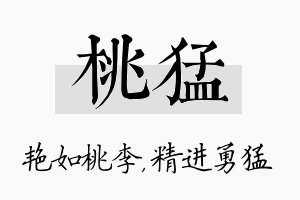 桃猛名字的寓意及含义