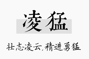 凌猛名字的寓意及含义