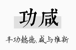 功咸名字的寓意及含义