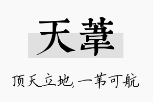 天苇名字的寓意及含义