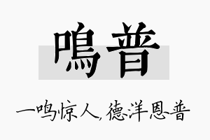 鸣普名字的寓意及含义