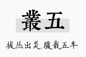 丛五名字的寓意及含义