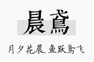 晨鸢名字的寓意及含义