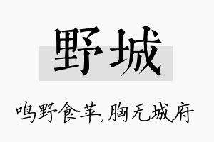 野城名字的寓意及含义