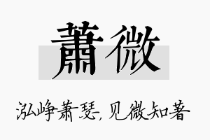 萧微名字的寓意及含义