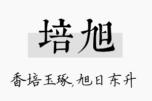 培旭名字的寓意及含义