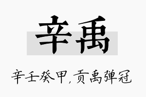 辛禹名字的寓意及含义