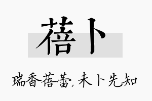 蓓卜名字的寓意及含义