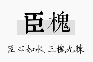 臣槐名字的寓意及含义