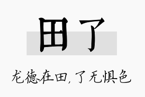 田了名字的寓意及含义